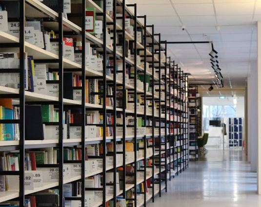 bibliothèque-municipale-françois-bourrin