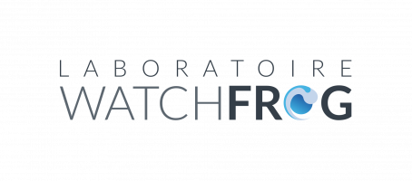 logo_watchfrog